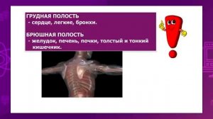 Естествознание. 3 класс. Загляни внутрь себя /02.11.2020/