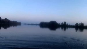 Рыбалка на москва реке - Сом на квок 11 сентября 2023