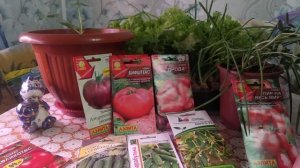 Проверенные сорта томатов на 2022 год от агрофирмы Аэлита