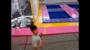 Попрыгунья стрекоза