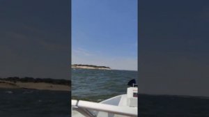 Лодка Днепр на не самой сильной, но приличной попутной волне. Реданы и лыжа не бьют.