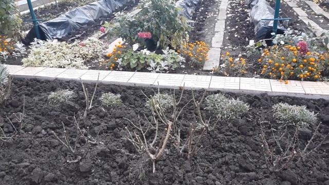 Осенние работы в саду Последняя декада октября смотреть онлайн