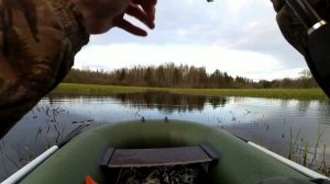 За щукой с Arion 762ls 3-12g от Crazy fish