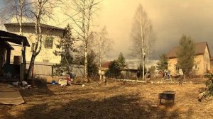 Черные лесорубы март 2020.mp4