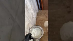 Убираем пищевую агрессию алабая