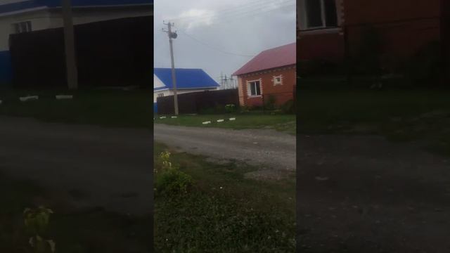 Сиреноголовый мы его засняли