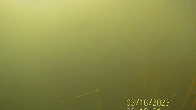 Подводная камера смотреть онлайн