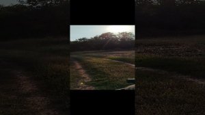 Тест драйв квадроцикла бизон 200 кубов