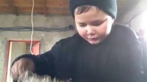 Сколько весит кролик в 1,5 месяца Жизнь в селе