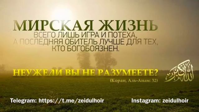 Мирская жизнь смотреть онлайн