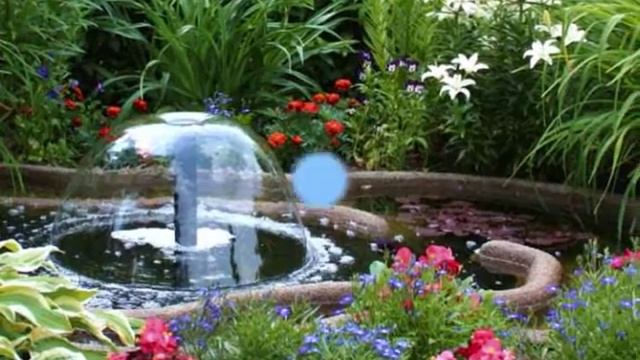 Прекрасный сад, который мы создали сами. смотреть онлайн