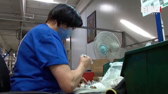 В правительстве обсудили развитие Оренбуржья в ближайшие годы смотреть онлайн