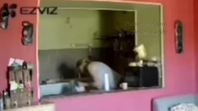 ЧЁРТ СХВАТИЛ ЕГО ЗА НОГИ НОЧЬЮ. ПАРАНОРМАЛЬНОЕ. ПРИЗРАКИ смотреть онлайн