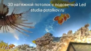 видео 3Д натяжной потолок https://studia-potolkov.ru/3d-natyazhnye-potolki.html