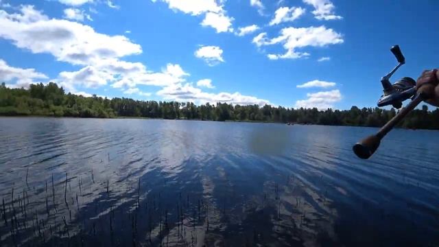 Окунь в траве на отводной поводок. смотреть онлайн