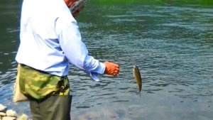 выходной день на реке Томь