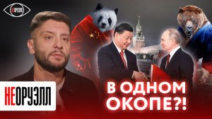 Последний гвоздь в крышку гроба гегемонии США. Путин и Си встретились | НЕОРУЭЛЛ | Дмитрий Бавырин