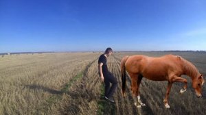 Вольга и Микула Селянович