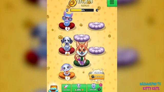 ?Где мои питомцы ПИТОМЦЫ?❤️Открываю милых малышей Кошечки смотреть онлайн