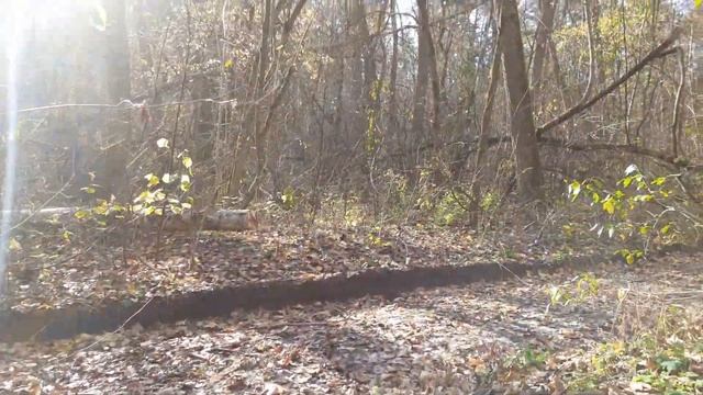 31.10.23 Алабай Булат и финальный день октября ч.1 смотреть онлайн