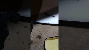 Форд фокус 3 Мелкая проблема всю дверь потребовала разобрать