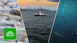 Как океан мстит человечеству за сброс радиоактивной воды | «Центральное телевидение»