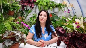 Oud Bouquet Eau de Parfum Lancome