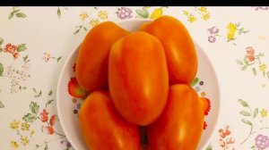 Томат Медовые бананы F1  удивительный,  раннеспелый, редкой окраски, очень вкусный!