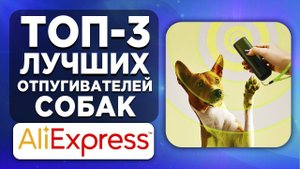 ТОП-3 лучших отпугивателей собак с AliExpress. Рейтинг