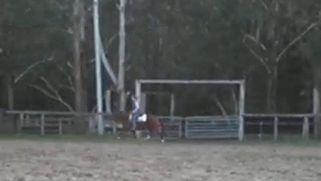 FOR SALE Asia vid 2 смотреть онлайн