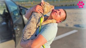 Люди впервые видят своего щенка! Любовь с первого взгляда!  Мы вложили еще 500 тыс.руб.  в питомник!