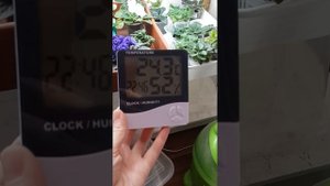 Как измерить влажность воздуха в комнате. Покупка из Fix Price