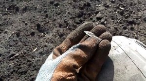 МЕТАЛЛОИСКАТЕЛь Fisher F75 + Detech Ultimate   ПРОСТО ЗВЕРЬ!!!