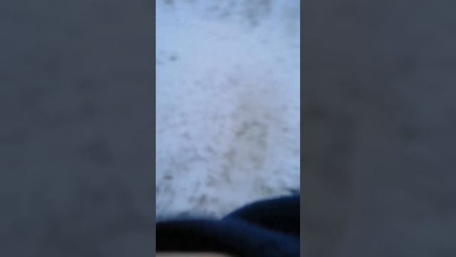 покатушки на снегокатах (немного от первого лица)