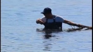 В Братском водохранилище скоро появится молодая пелядь