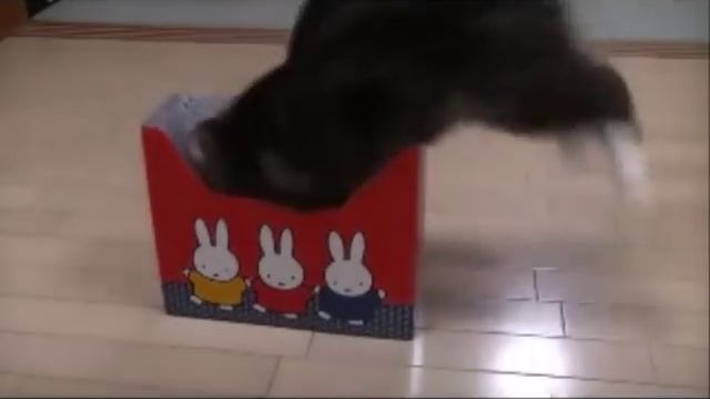 *2011* Funny Accident From The World смотреть онлайн