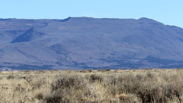 Wild Heart and Mustang Soul смотреть онлайн