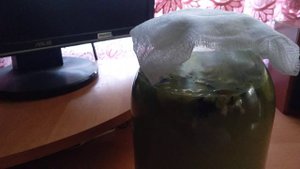 Лекарство из зелёных молодых грецких орехов