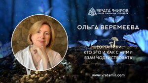 Неорганики, кто это и как с ними взаимодействовать. Ольга Веремеева, Врата Миров