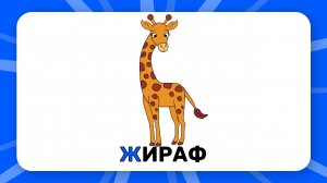 Буква "Ж". Учим буквы русского алфавита