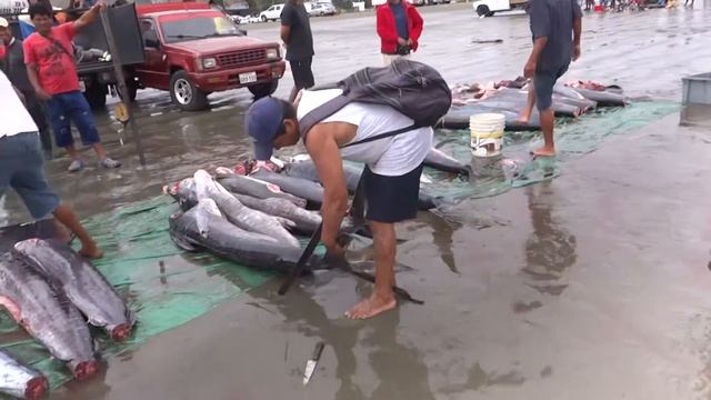 Манта рыбный рынок. Эквадор. смотреть онлайн