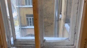 Коммуналка Довлатова! Обзор двух жилых коммуналок и одной барской квартиры! #довлатов #коммуналка