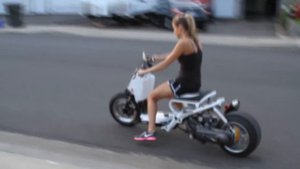 Honda ruckus / zoomer 49cc скутер для наших дорог