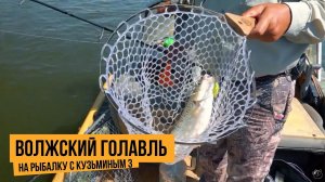 Волжский голавль / На рыбалку с Кузьминым 3 // №8