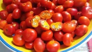 Сироп из шиповника.Rosa -rugosa!