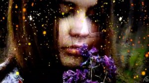 Е.Осин  "ПРОЛЕТЕЛО ЛЕТО"