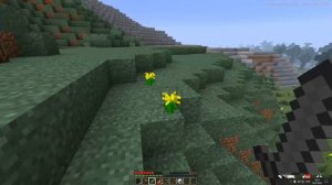 Шеди Мен обманщик. Разоблачение Шеди Мена. Что скрывает блогер миллионник.