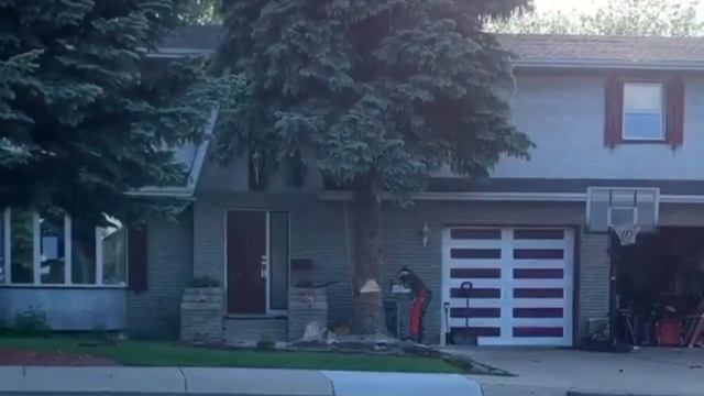 Почему нельзя сажать ель возле дома? смотреть онлайн