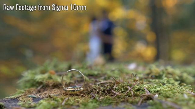 Low Budget Lens for Weddings | Lumix GH5 | 4K | Napisy PL| смотреть онлайн