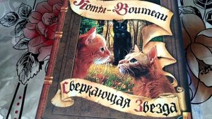 Моя Коллекция Книг Коты-Воители